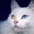 Kellyx96 :iconkellyx96: