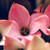 kelmeloo :iconkelmeloo:
