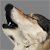 :iconkelpia: