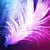 :iconkelseykitkat1: