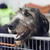 Kelshray-photo :iconkelshray-photo: