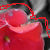 :iconkelss: