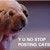 :iconkemenchan: