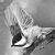 :iconken-chen: