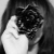 :iconkenanicole: