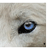 :iconkenchoplz6: