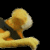 :iconkendoconan:
