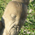 :iconkendrapeav: