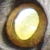 :iconKengara: