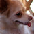 :iconkenimichi: