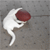 :iconkenpostock: