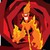 :iconkenscotty: