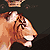 :iconkenu: