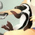 :iconkenzou01: