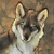 :iconkeowolf: