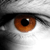 :iconkerberos84: