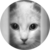 :iconkerimsel:
