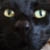 :iconkernelle: