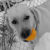 :iconkernky: