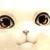 :iconkernz: