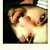 :iconkeromak:
