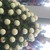 :iconkeroro39: