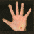 :iconkerradactyl: