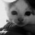 :iconkerrohen: