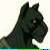 :iconkesslan: