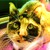 :iconkestrelblaze: