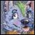 :iconketo-galin: