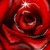 :iconketrin-dra: