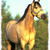 :iconketyart: