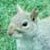 :iconKev0110: