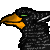 :iconkevin-347: