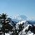 :iconkevin-anglin: