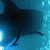 :iconkevin717: