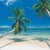 :iconkevin8890: