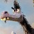 :iconkevinlemon: