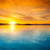 :iconkevinlevin038: