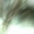 :iconkevinreloaded: