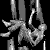 :iconkevinweichel: