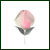 :iconkevinwong: