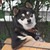 :iconkevleb: