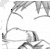 :iconkexp903: