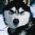 :iconkeyetso77: