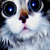 :iconkfaceb-tch:
