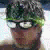 :iconkforkyle: