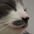 :iconkg4icn: