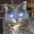:iconkglassie: